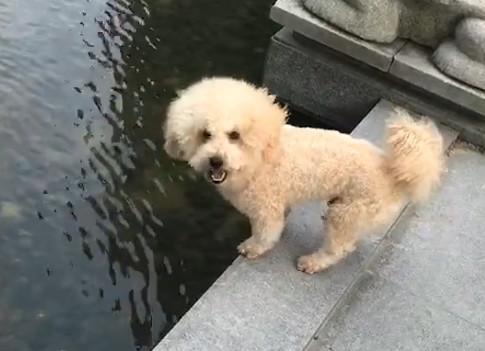 港澳新闻 第12页